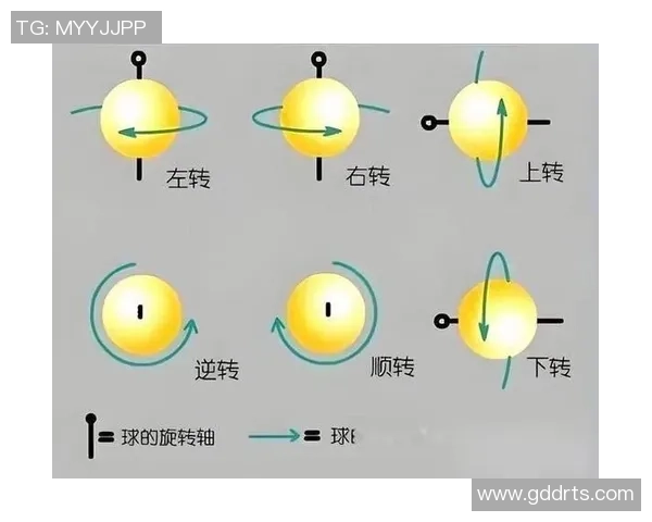 成都乒乓球队的运营模式揭秘与深度分析探讨
